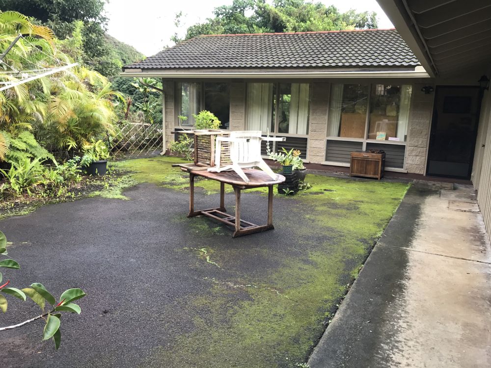 Before: heavily soiled carpet before professional cleaning by AAA Superior