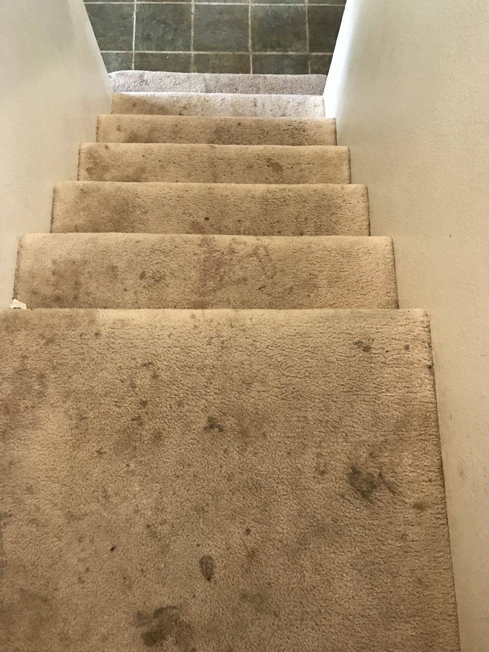 Before: hallway carpet before professional cleaning by AAA Superior