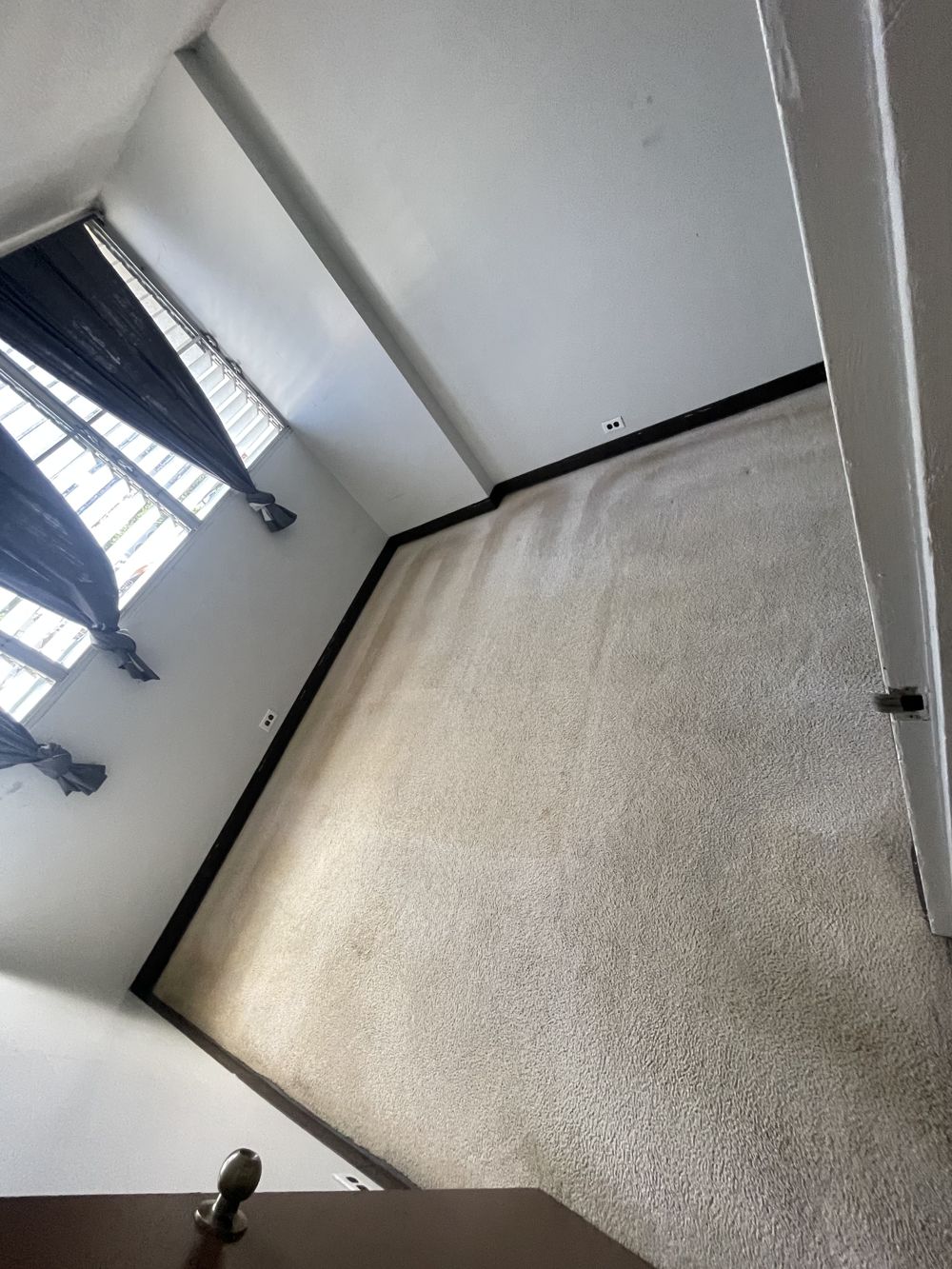 After: the same carpet traffic lanes after AAA Superior deep cleaning