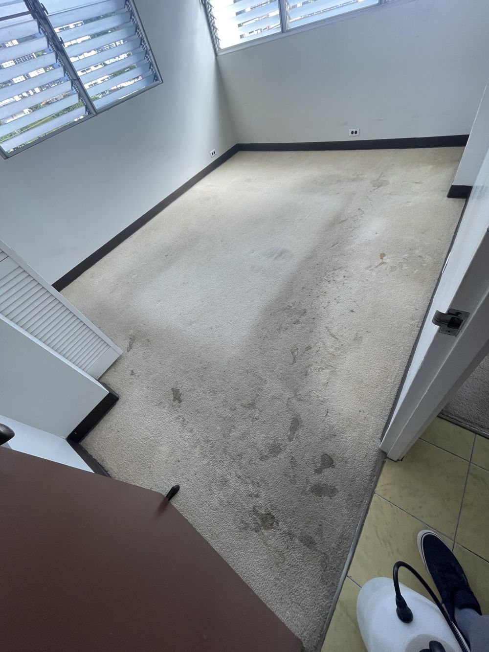 Before: carpet traffic lanes before professional cleaning by AAA Superior