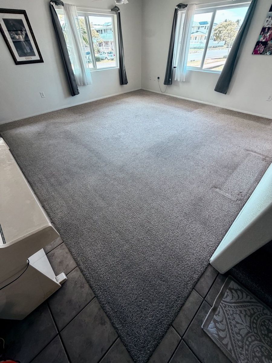 Before: Oahu living room carpet with traffic lanes before AAA Superior cleaning