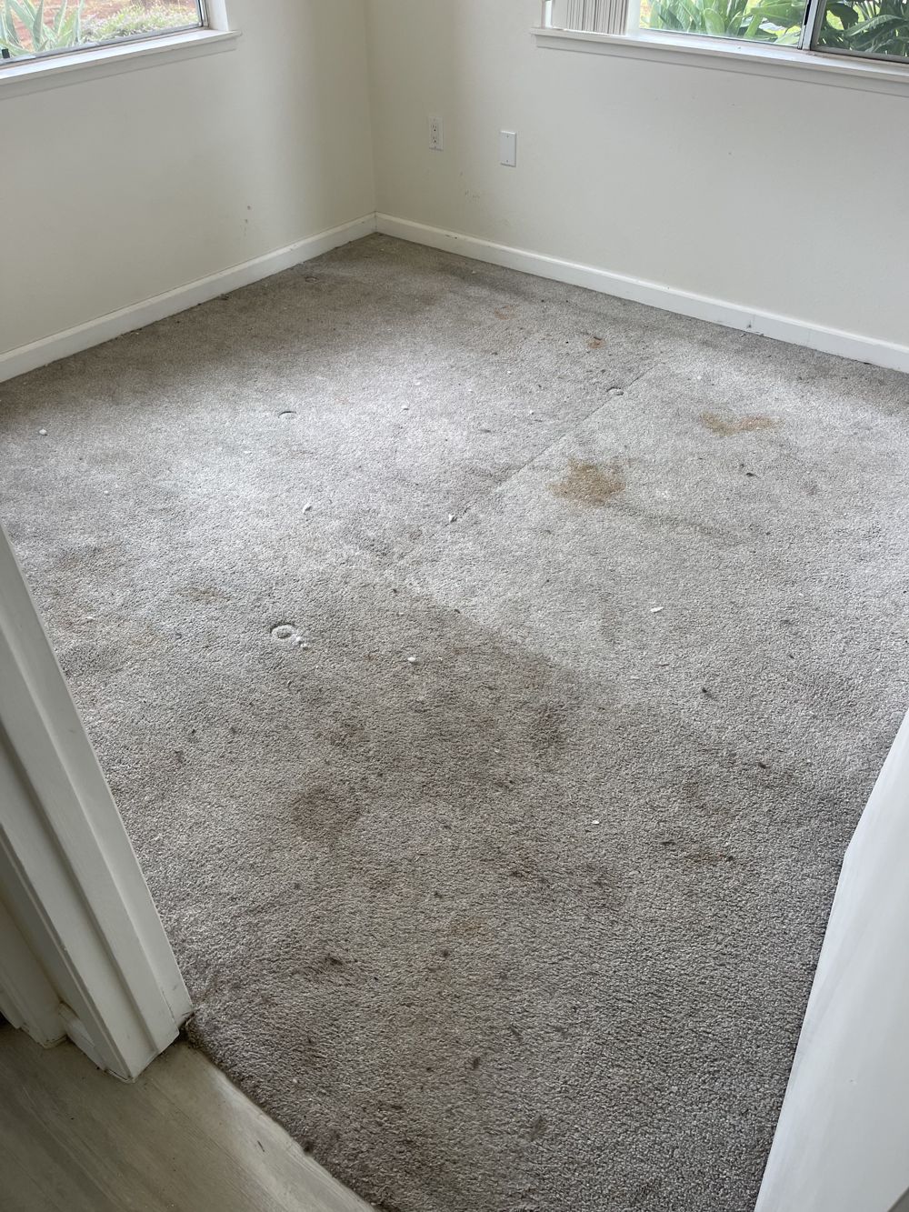 Before: carpet before professional cleaning by AAA Superior