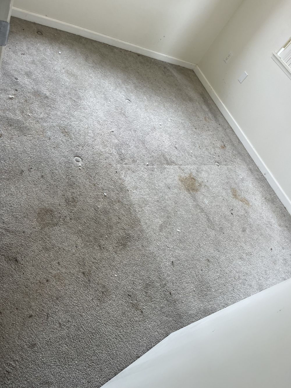 Before: carpet before professional cleaning by AAA Superior
