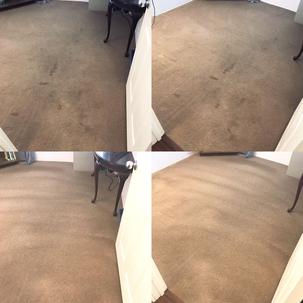 Freshly cleaned carpet by AAA Superior