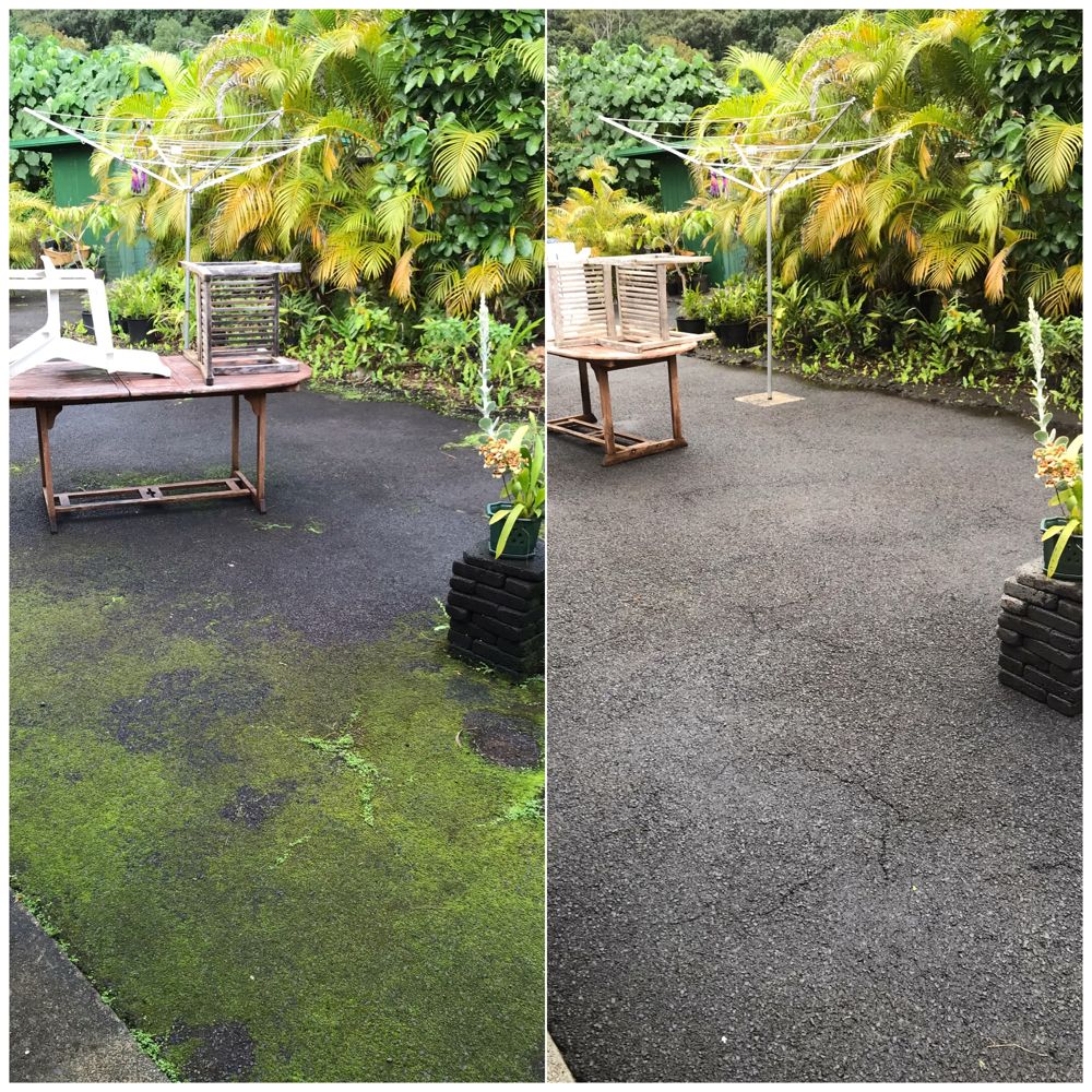 After: the same carpet after AAA Superior deep cleaning