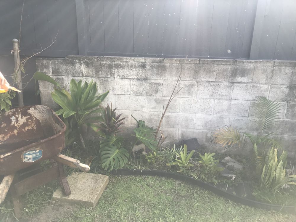 AAA Superior technician on a cleaning job on Oahu