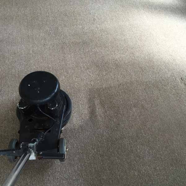 Carpet Cleaning Service