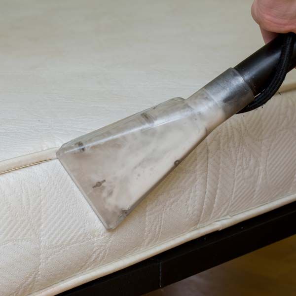 Mattress Cleaning Service